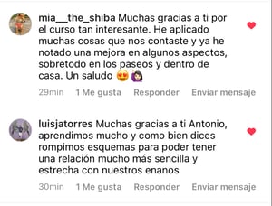 imagen_47916