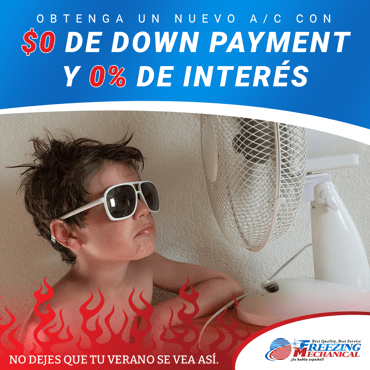 imagen_13022