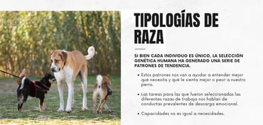 imagen_47902