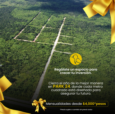 imagen_1252