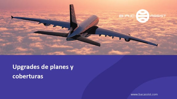 imagen_1798