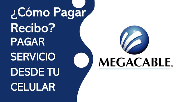 imagen_201