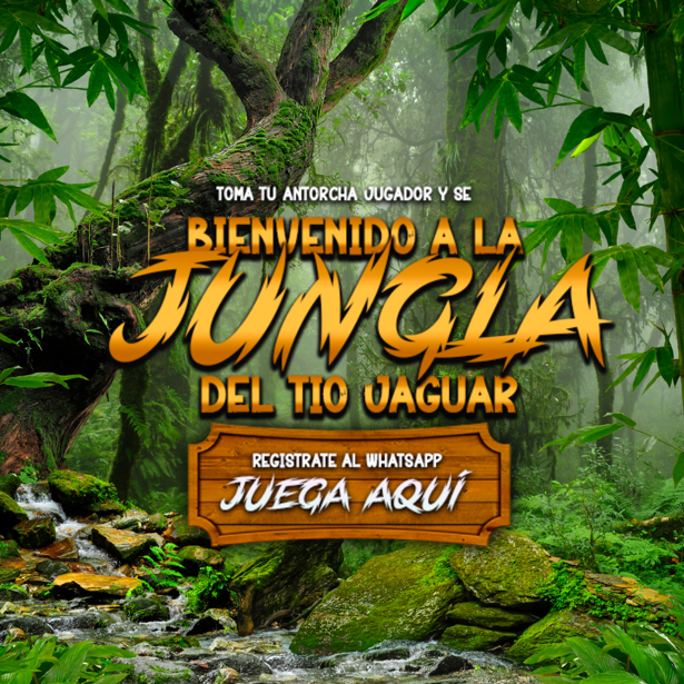 imagen_987