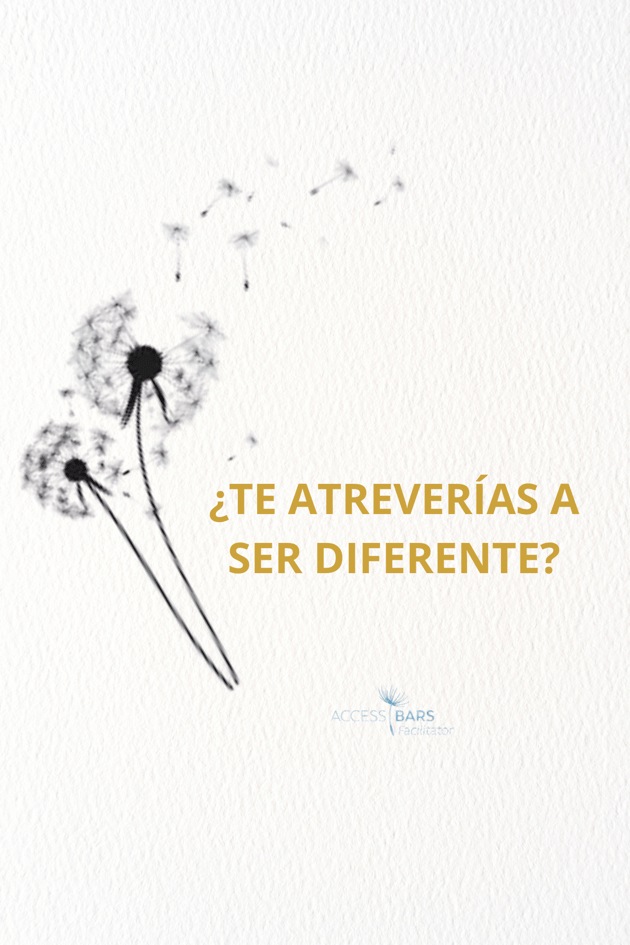 imagen_48